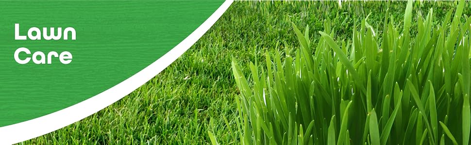 Lawn Care Banner with Green Grass Imagery