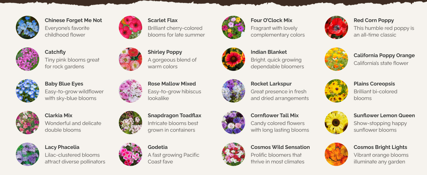 Sunflower Seeds for Planting, Cosmos Seeds, Poppy Seeds for Planting, Forget Me Not, Larkspur Seeds