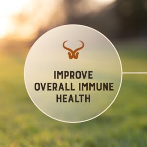 Improve Immune Health