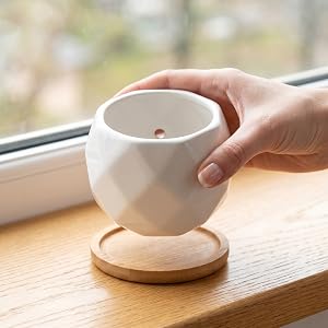 Ceramic Succulent Planter Pot
