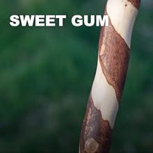 sweet gum
