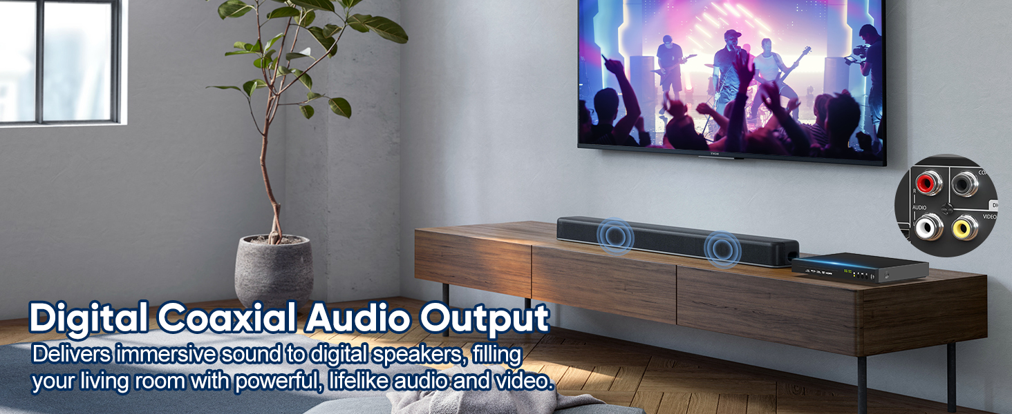 blue ray/dvdplayer