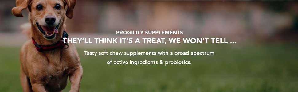 Nootie Progility