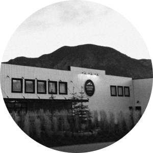 Human Beans Coffee Beans Organic Coffee Fairtrade Coffee Best Coffee