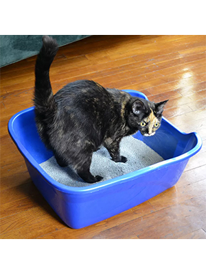 High Side Cat Litter Box