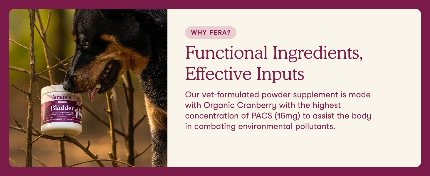 Functional Ingredients, Effective Inputs