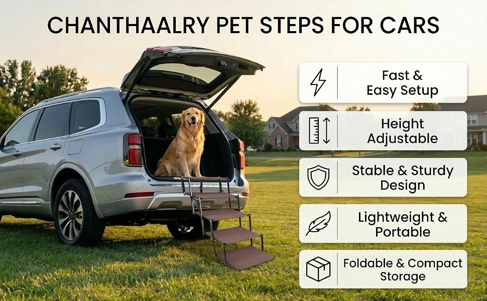 pet stairs