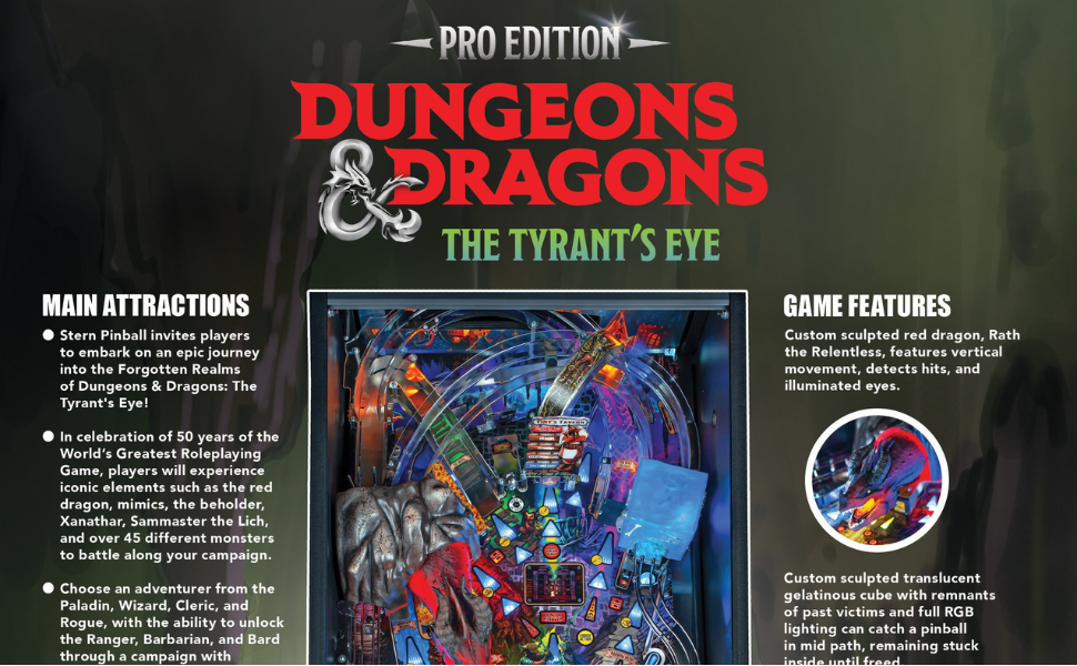 Dungeons and Dragons Pro Edition