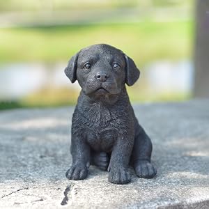 Labrador Puppy Statue_LS