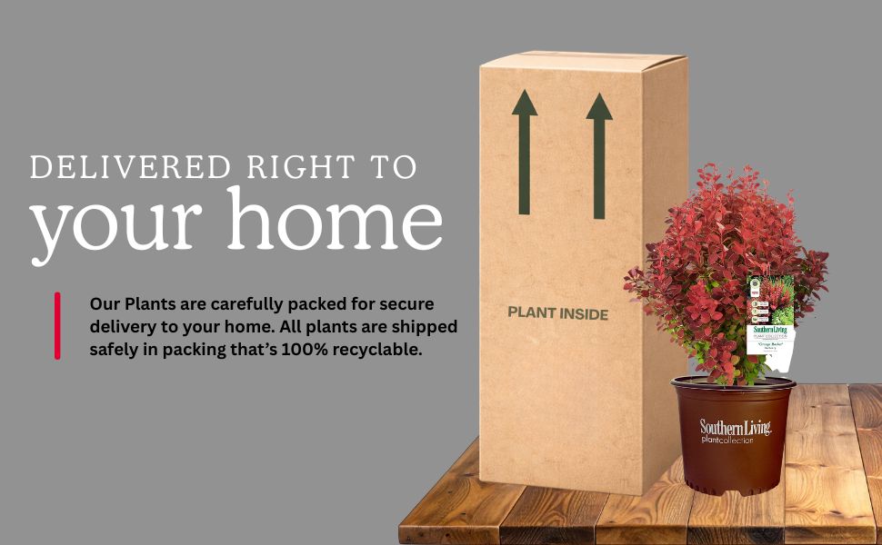 Delivered to your home