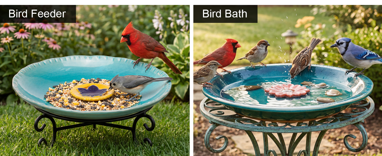 multi-function bird bowl