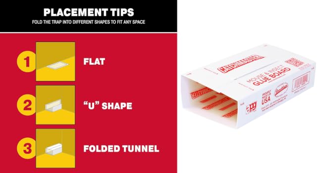 baited glue trap mouse insect trap