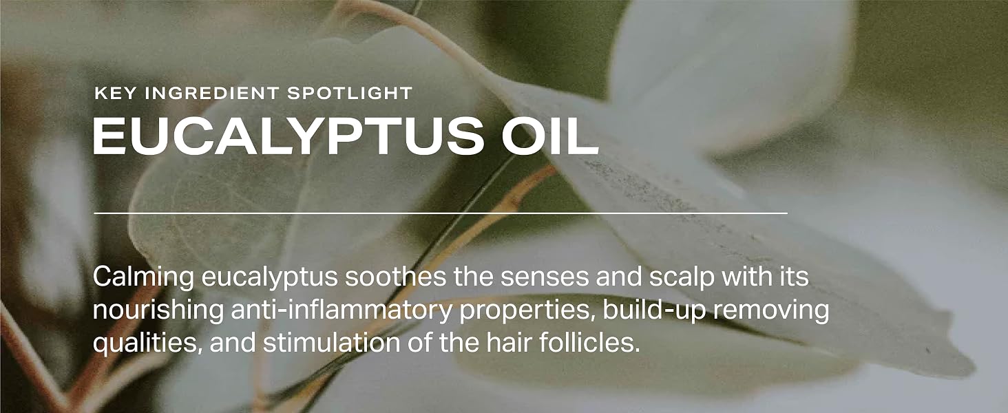 Ingredients: Eucalyptus, Jojoba, Tea Tree Oil, Witch Hazel