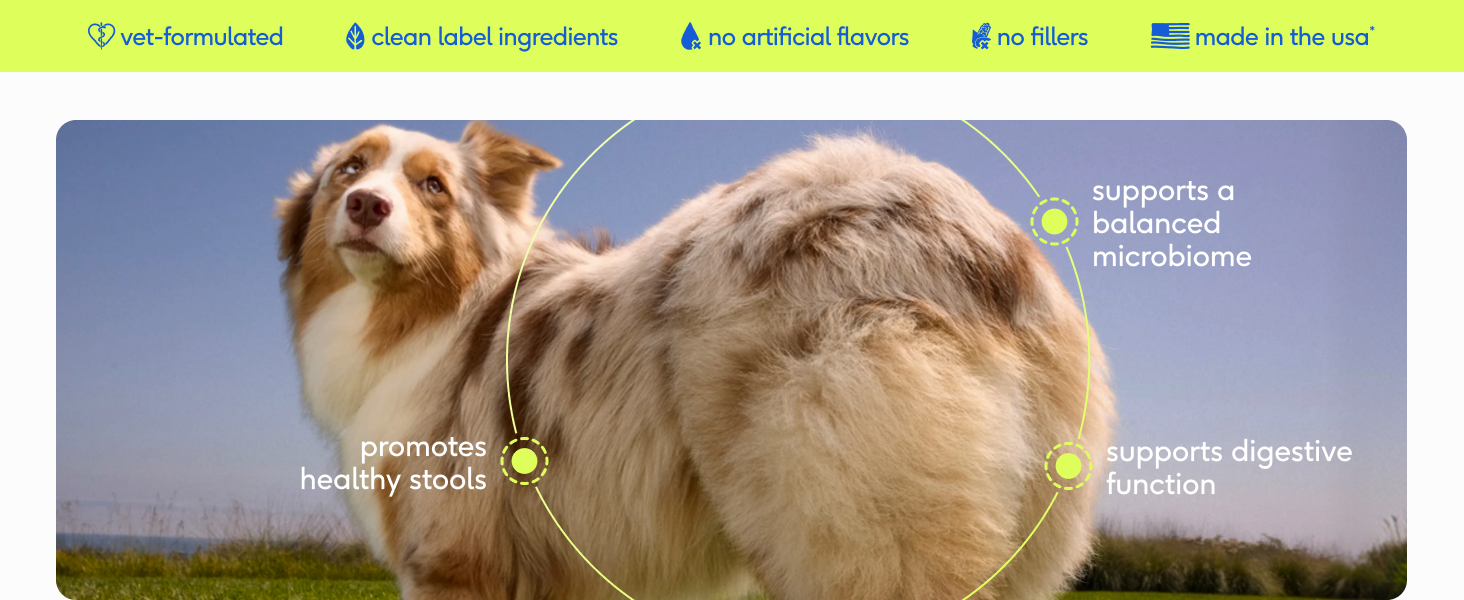 FOR DOGS WITH A SENSITIVE GUT usedFor dogs whose cause of digestive upset is imbalanced microbiome