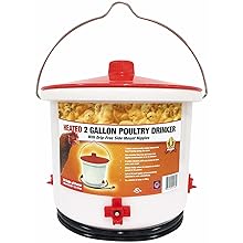 Farm Innovators Heated 2-Gallon Poultry Drinker