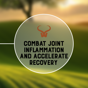 Improve Histamine Metabolism