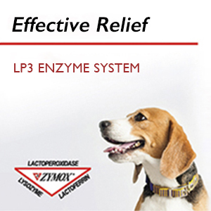 dog ear supplement