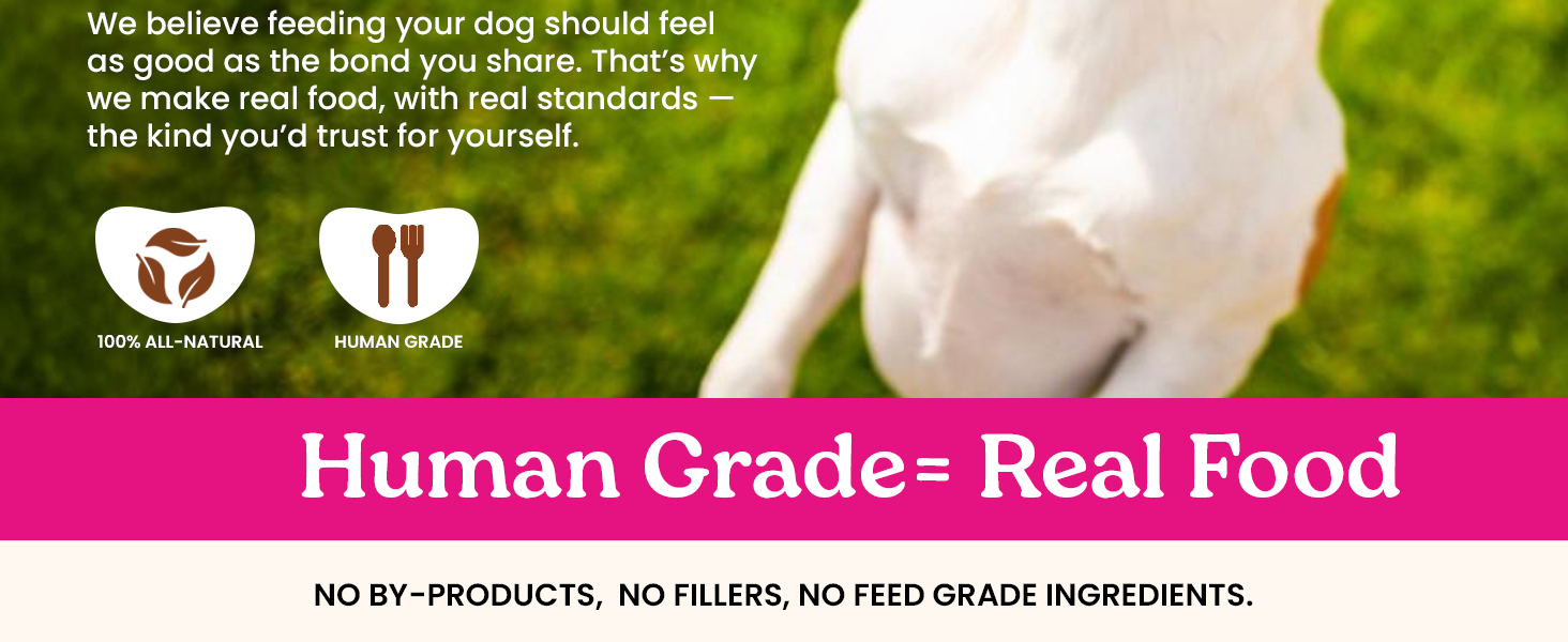 Grain-Free Organic Dog Treats, Human-Grade Non-GMO Crunchy Training Snacks for All Dogs