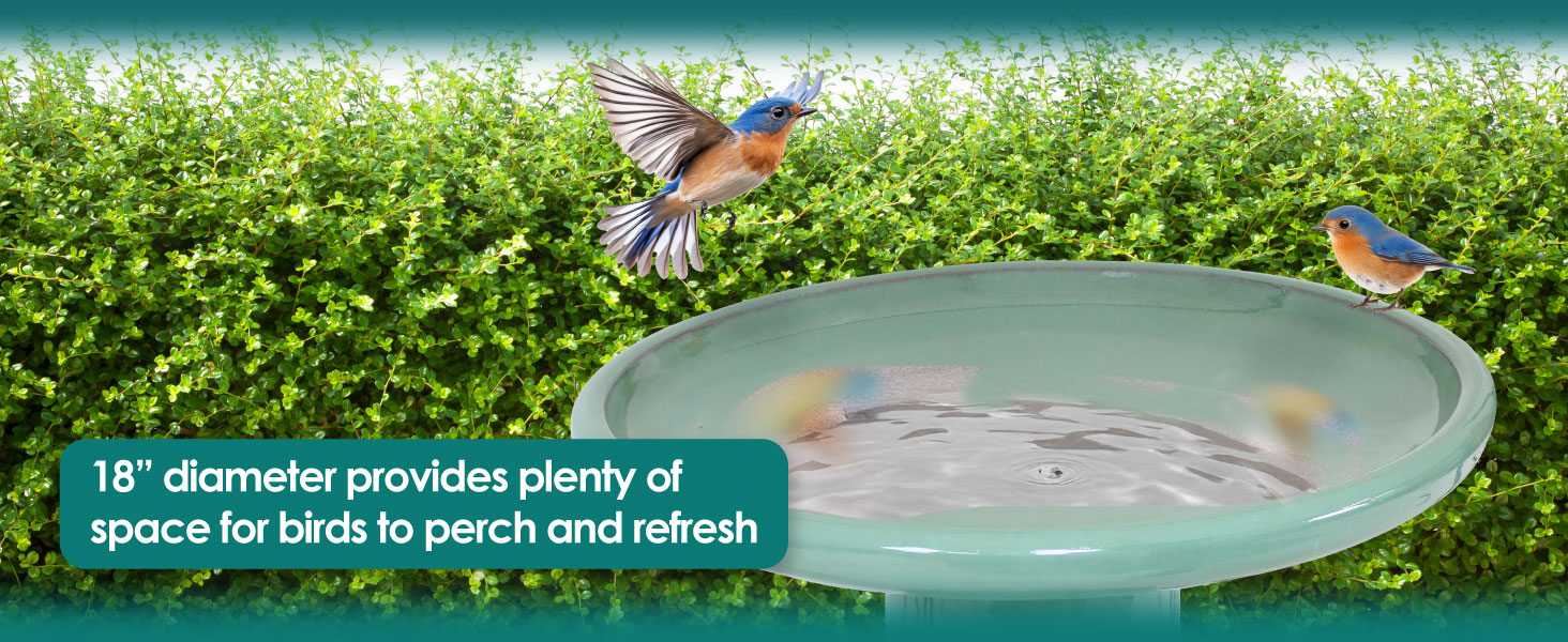 18" diameter provides plenty of space for birds to perch and refresh
