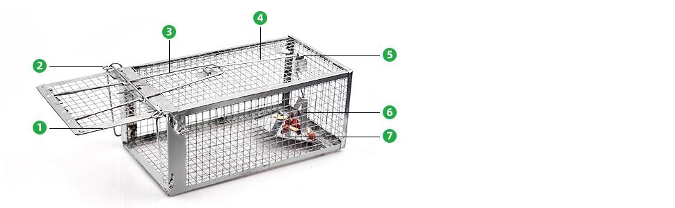 rat trap