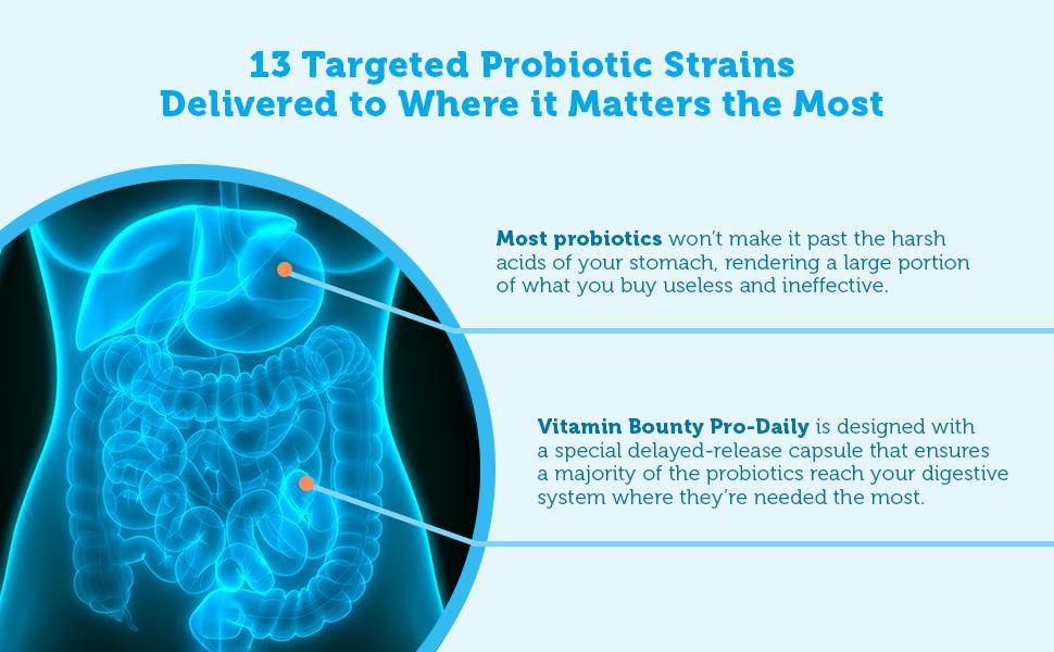 13 targeted probiotic strains delivered to where it matters the most