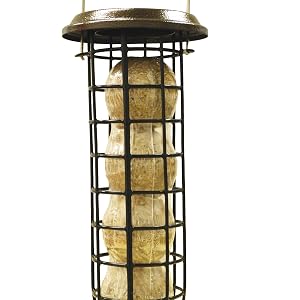 Suet Ball Feeder
