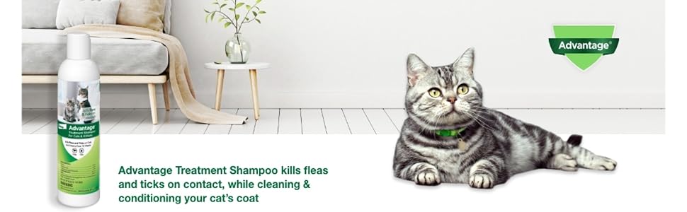 Advantage Treatment Shampoo for Cats kills fleas and ticks on contact.
