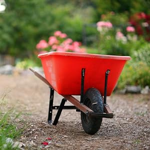 potting soil for planting drift roses