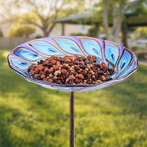 glass birdbath