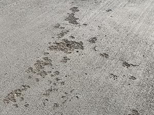 Concrete Sealer Outdoor AQUA-X 11 Best Concrete Sealer