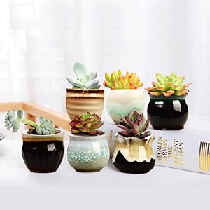 mini planters