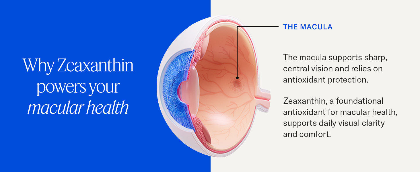 Zeaxanthin powers your macular health by supporting daily visual clarity and comfort.