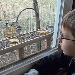 Inside with the Birds: Games, Activities, and Adventures