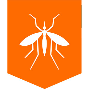 Mosquito