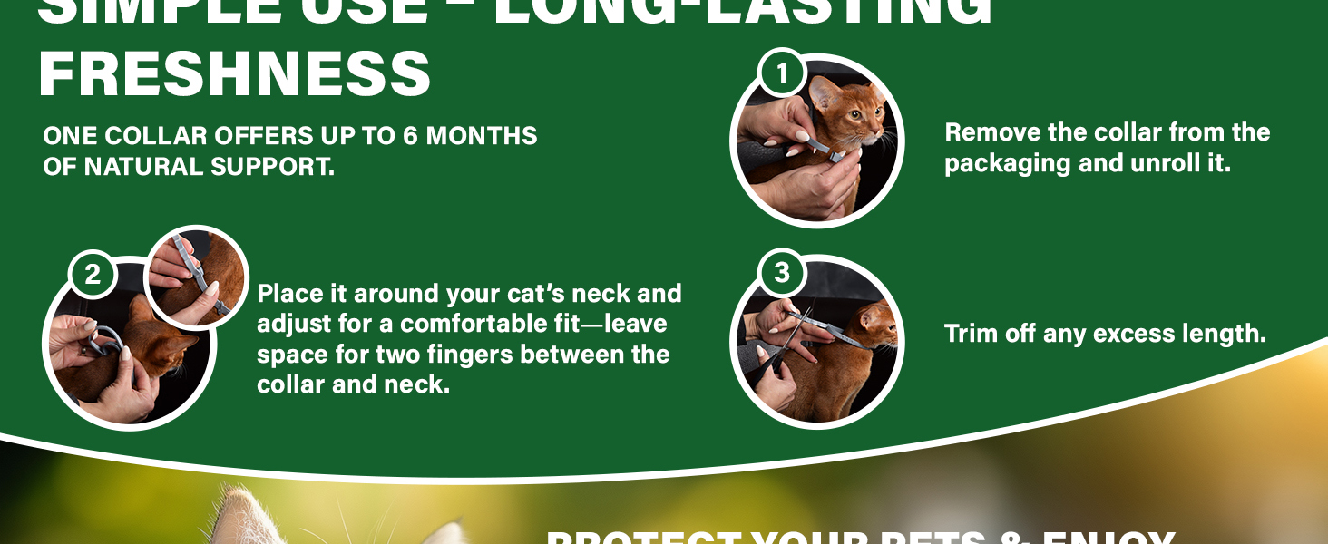 natural flea tick collar for cats prevention control repellent support skin coat itch