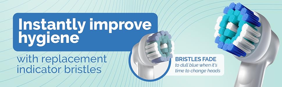 Replacement indicator Bristles fad to dull blue when it's time to change heads.