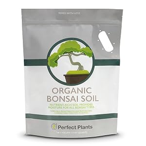 Bonsai Soil by Perfect Plants