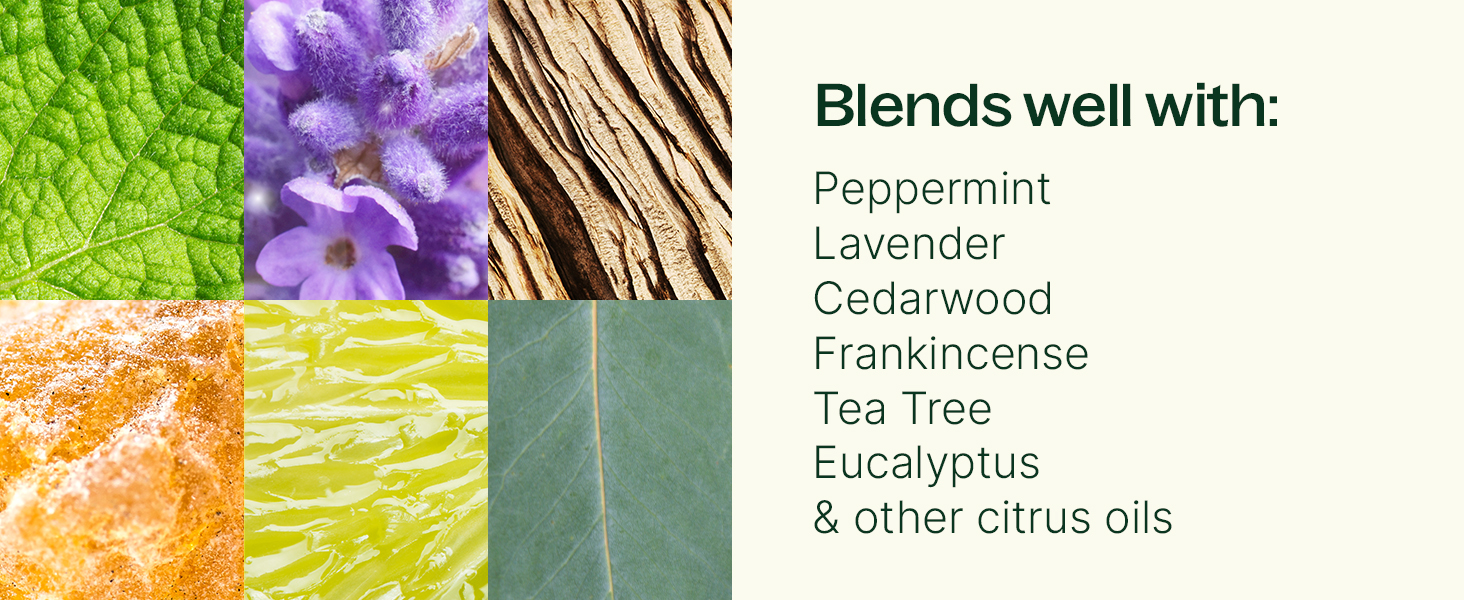 blends