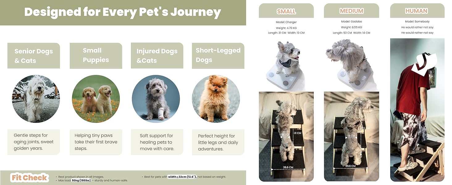 2in1 dog stair 5