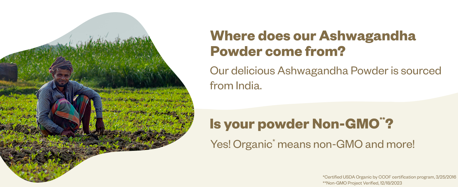 Ashwagandha field