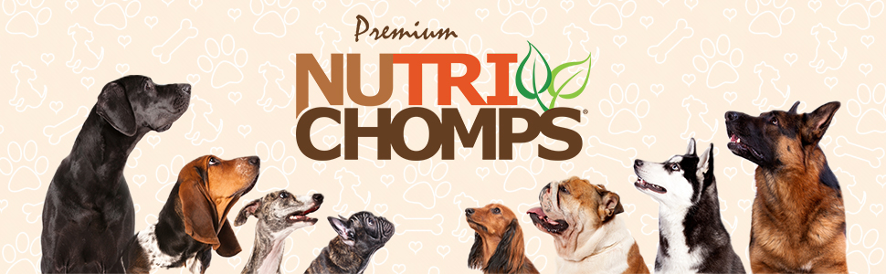 NutriChomps branded hero image with dogs of all sizes