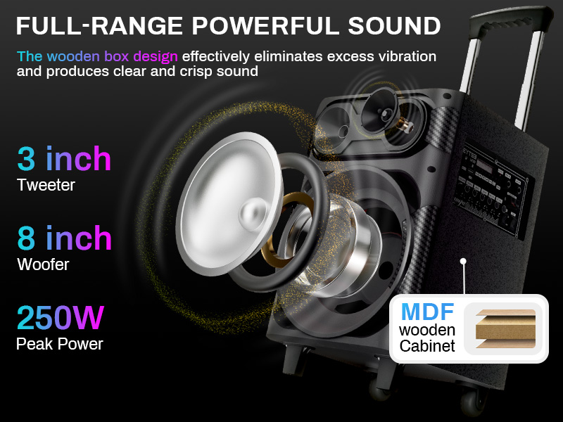 karaoke music machine for adults