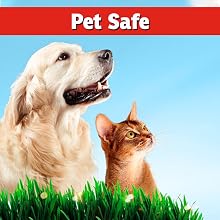 deer repellent natural petsafe scent granular safe