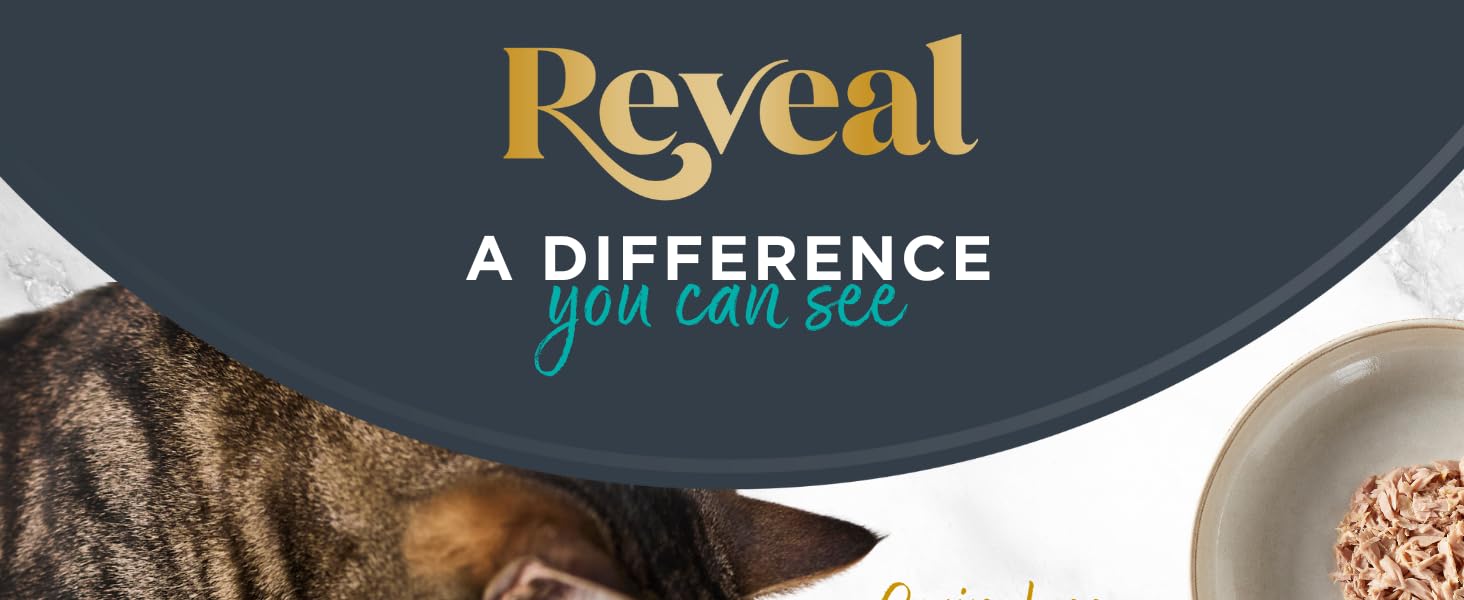 Reveal
