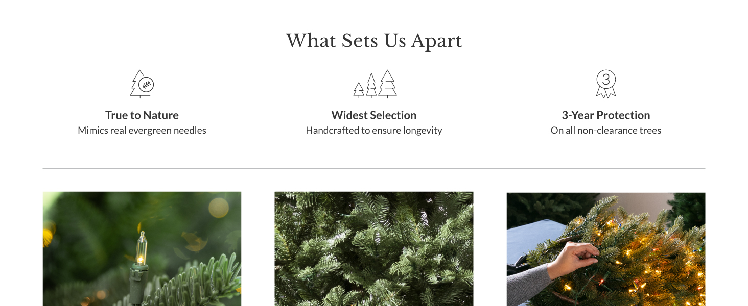 Balsam Hills wide selection of trees are true to nature