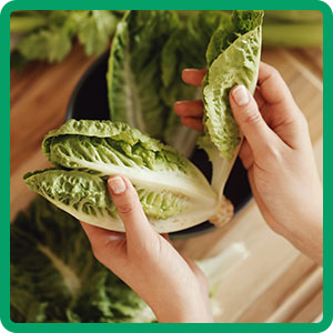 enhancing plant health recharge living better body secret take vermicompost step compost seed