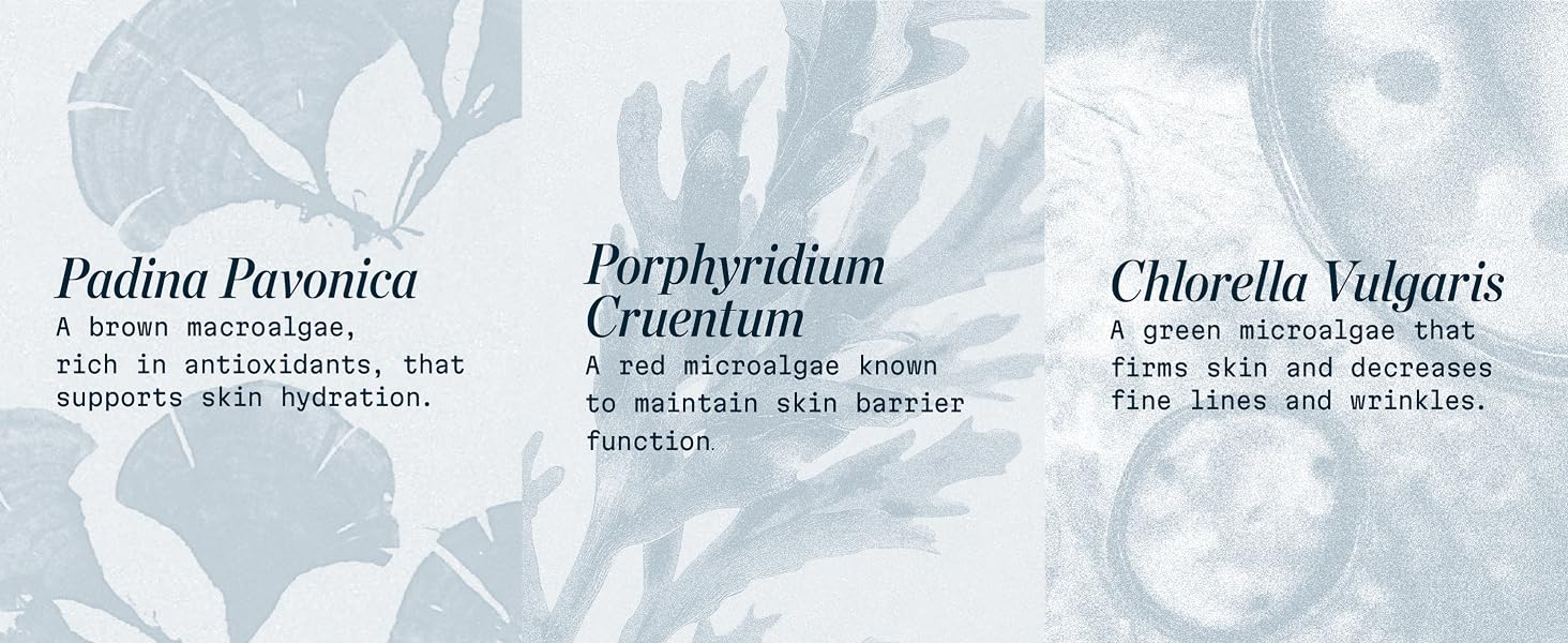 skincare routine ingredients, clinically proven results, skincare routine