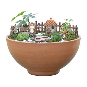aplus content image