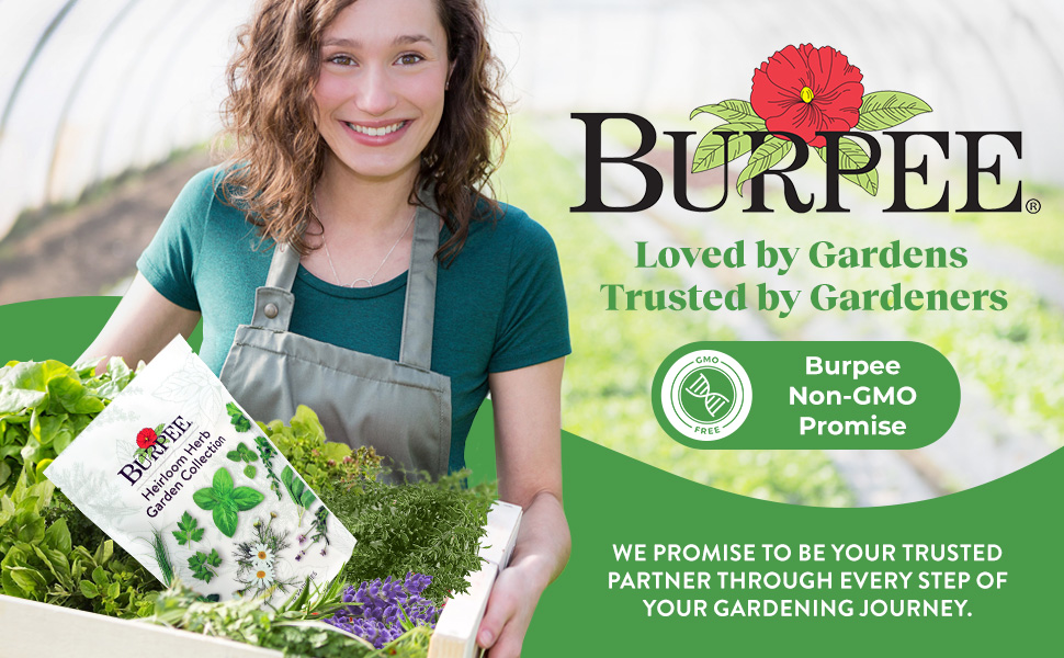 Burpee Logo