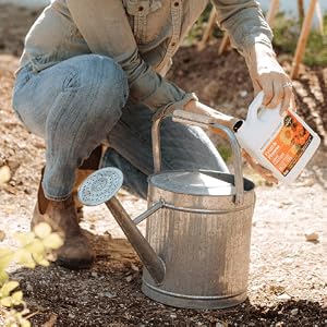 Measure fruiting and flowering AgroThrive Fertilizer